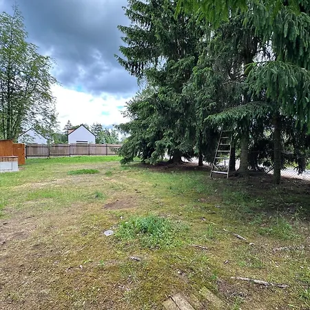 Solo Tábořiště, U Vody, Nová živohošť *