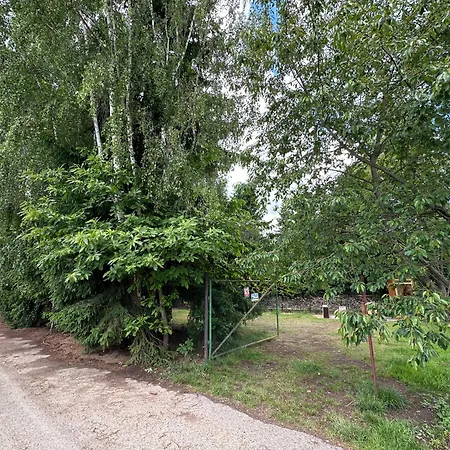 Camping Solo Tábořiště, U Vody, Nová živohošť *